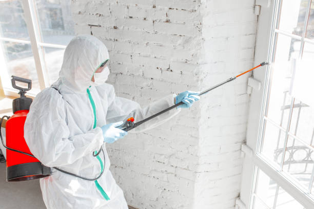 Why You Should Choose Our Mold Remediation Services in Legend Lake, WI